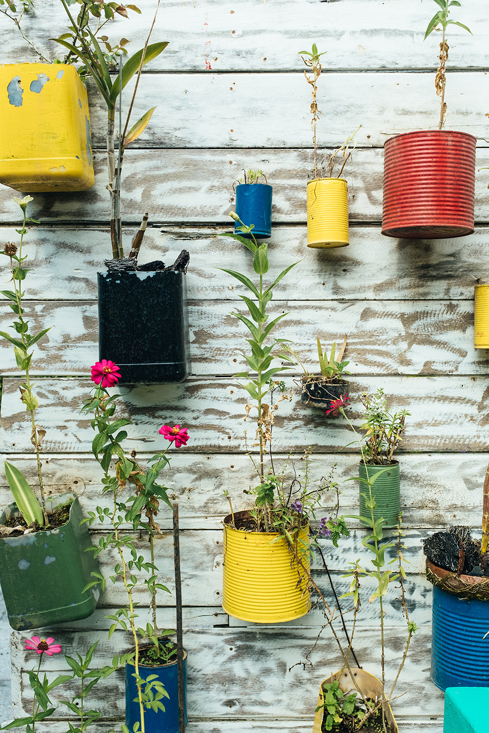 Purchase Recycled Products
