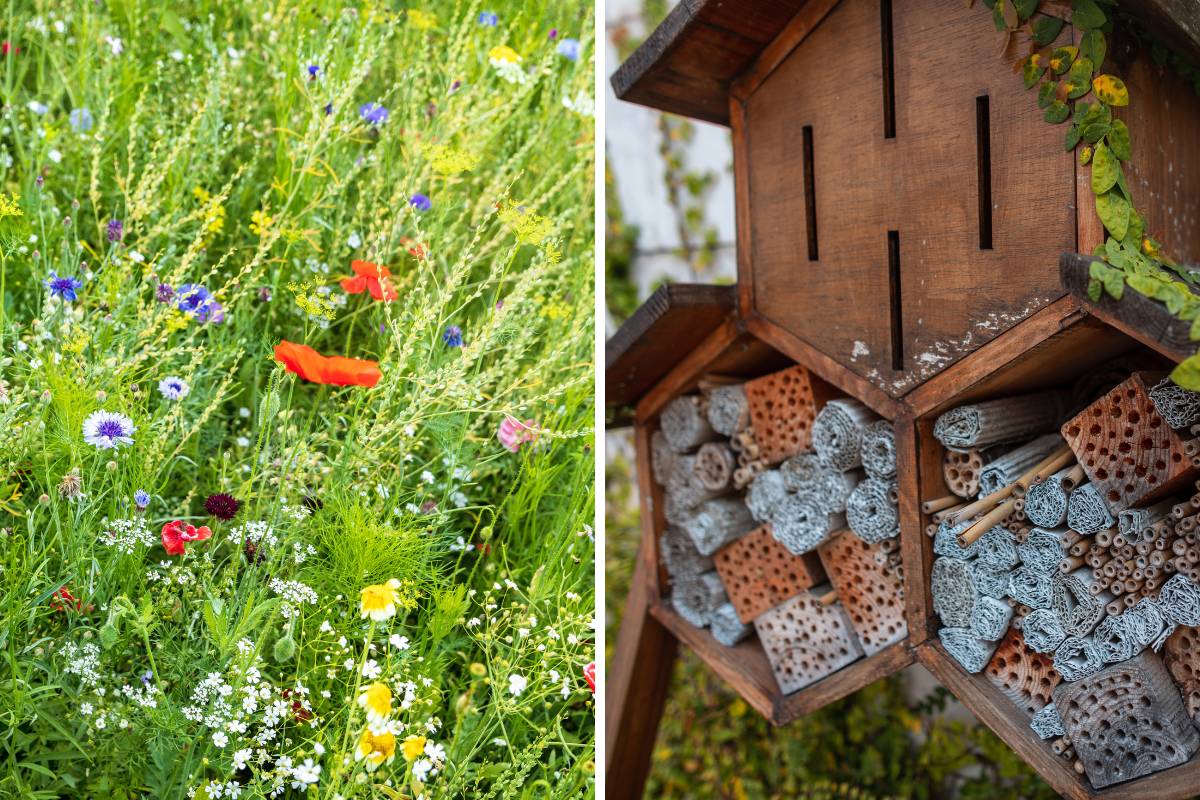 Wildlife Habitat Gardens