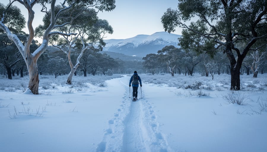 How Australian Winter Ecosystems Thrive When We Tread Lightly