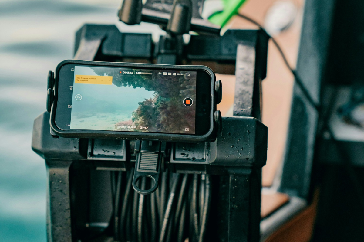 Image 3 from Google Doc